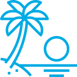 Ilustração de uma palmeira com pôr do sol ao fundo, simbolizando o serviço de Projetos Especiais.